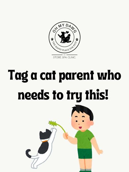 Oh My Dawg - Pet Supplies For New Pet Parents photo 28