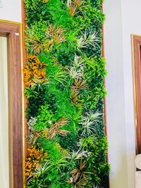 Artificial Vertical Gardens