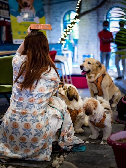 A guest sharing her food with our pack. It's a feeding frenzy of the cutest kind.