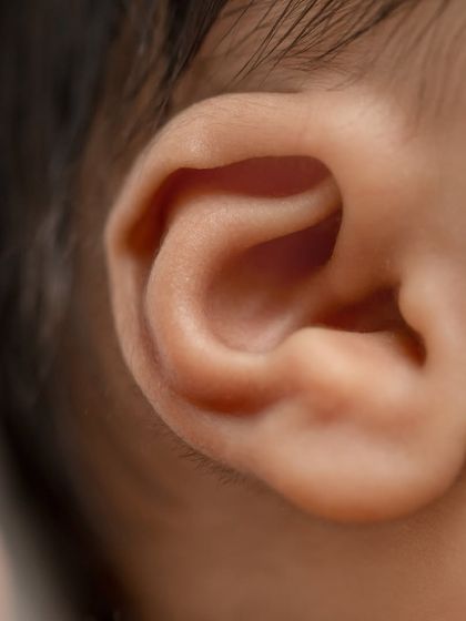 The perfect little swirl of a newborn's ear, captured in a detailed macro shot.