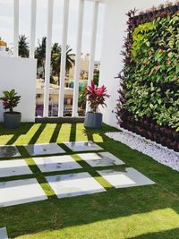Landscape Design & Installation