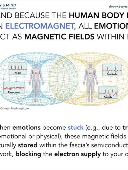 Body & Mind PhysioPilates Studio - Functional Nutrition Guidance The Mind-Body Connection photo 7