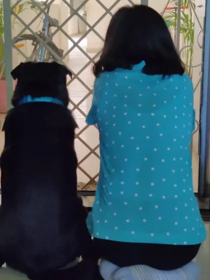 We believe in turning our backs on unhealthy, processed foods. Our journey began with a simple desire for real, wholesome food for our own dogs, and we extend that same care and commitment to yours.