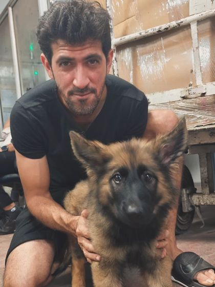 Hydra, a dominant female puppy from our "Constellation" litter (Yugen x Aura), on her way to her new home in Indore. We carefully match each puppy to the right owner and environment.