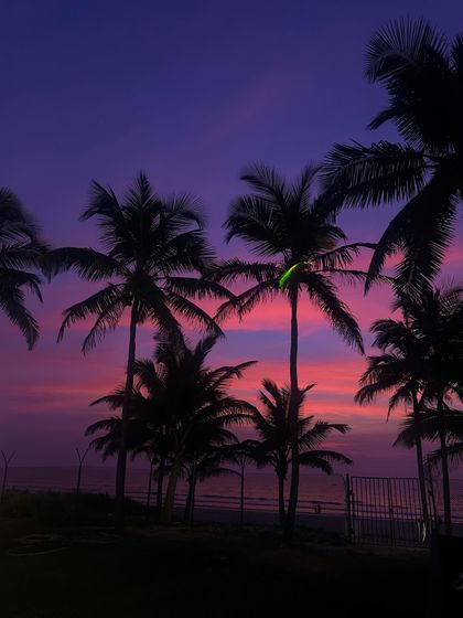 The silhouette of palm trees against a vibrant sunset sky in Goa. This is the kind of magical atmosphere that makes for a perfect beach wedding ceremony.