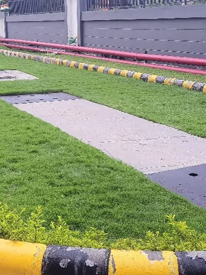 A completed section of an industrial landscaping project, showing a healthy new lawn installed between painted curbs and a concrete walkway.