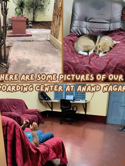 Anvis - Dog Boarding Our Boarding Centers in Bangalore photo 7