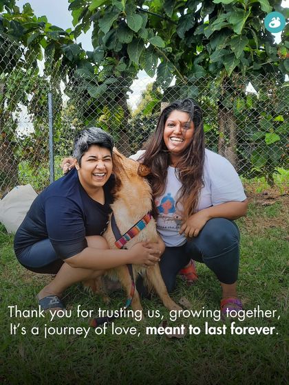 The Pack - Pet-Friendly Adventures & Meetups Meet the Pack: Our Community & Experts photo 6