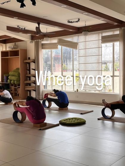 A serene moment in a wheel yoga class, with students in a supported forward fold, releasing tension in their backs.