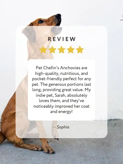 We love hearing from our community. Sophia's indie pet, Sarah, is thriving on our air-dried Anchovies, with a noticeably improved coat and energy. This is why we do what we do.