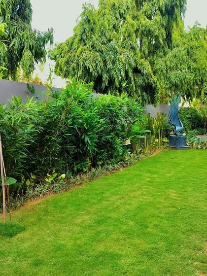 Lush Farmhouse & Villa Landscapes photo 50