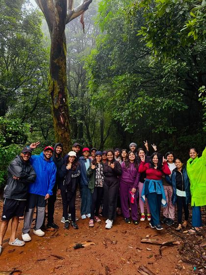 Posing in the forest trail, surrounded by tall trees and lush greenery.