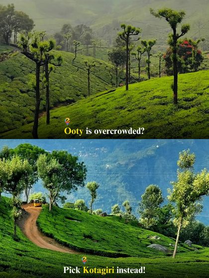 Looking for alternatives to crowded spots? Instead of Ooty, try the quieter hills of Kotagiri. I can help you explore these offbeat gems.
