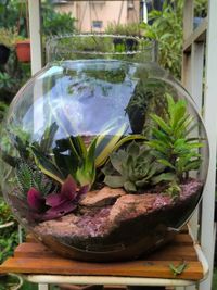 Plant Arrangements and Gifting