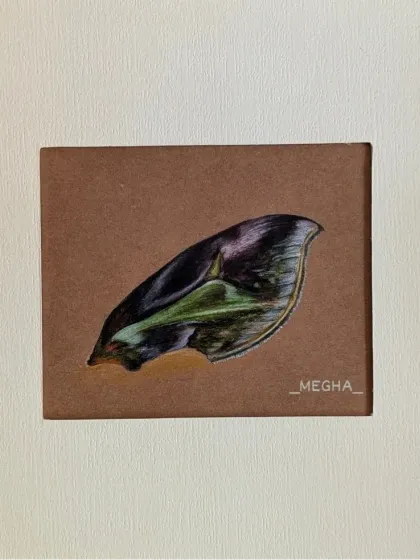 Another study of a butterfly's wing, this time with darker, iridescent tones. Using colored pencils on brown paper allows me to bring out the subtle shifts in color and light.