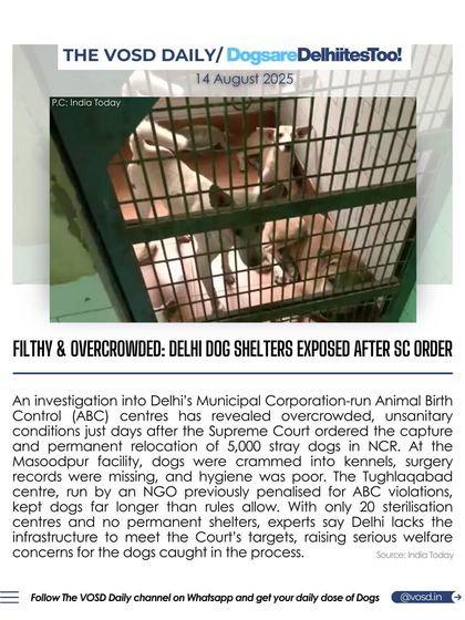 An investigation into Delhi's municipal dog shelters has exposed filthy, overcrowded, and unsanitary conditions. With the SC ordering the relocation of 5,000 strays, these facilities are clearly unprepared, raising serious welfare concerns.