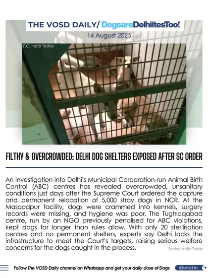 An investigation into Delhi's municipal dog shelters has exposed filthy, overcrowded, and unsanitary conditions. With the SC ordering the relocation of 5,000 strays, these facilities are clearly unprepared, raising serious welfare concerns.