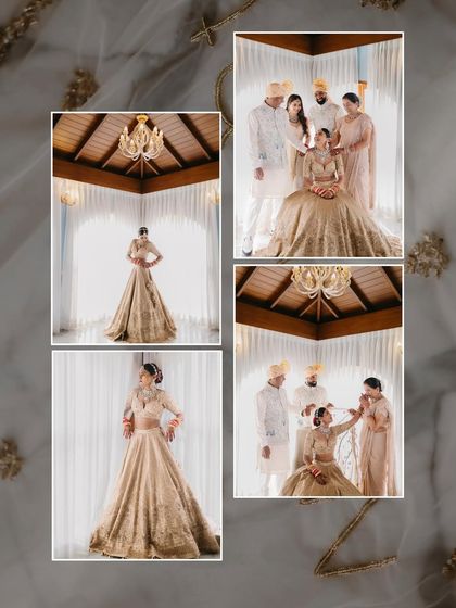 Picsurely - Wedding Photography & Cinematography Radiant Bridal Portraits photo 65