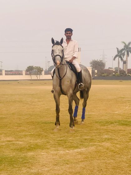 Meet Our Team & Horses photo 9