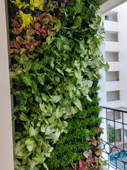 A stunning vertical garden installed on a residential balcony. This living wall adds a burst of color and life without taking up any floor space, overlooking the building's courtyard.