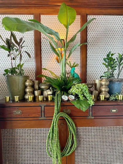 A console table decorated with brass elements, potted plants, and a hanging floral piece, blending traditional and tropical aesthetics.