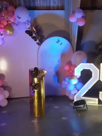 The butterfly decoration setup shown with light-up marquee numbers '25'.