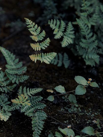 Garima Bhaskar - Photography Services Travel Diaries: Global & Local photo 119