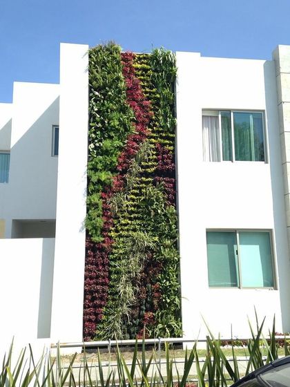 Vertical Garden Setup - Landscape Design & Execution Large-Scale & Commercial Facades photo 7
