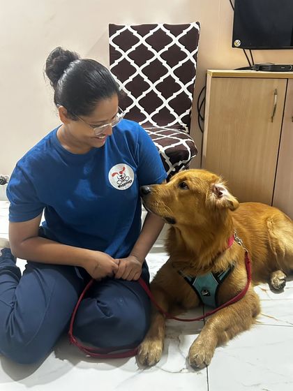 A beautiful moment of eye contact and trust with a Golden Retriever. Sitting on the floor together, we are having a silent conversation. This is what I mean when I say training is a dialogue, not a demand.