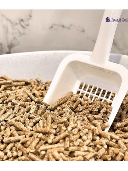 PawsnCollars - Pet Supplies For Our Feline Friends photo 23