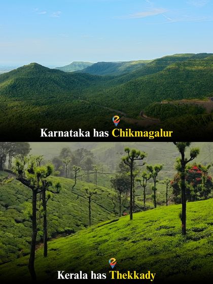 Green escapes: The coffee estates of Chikmagalur in Karnataka or the spice plantations of Thekkady in Kerala? Explore the lush landscapes of the Western Ghats.