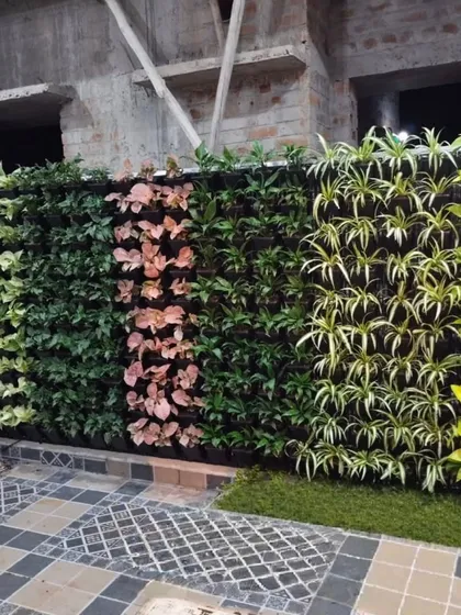 A vertical garden is more than just decoration; it's a living system. I build and maintain these walls, using a mix of plant species like Syngonium, Chlorophytum, and Fittonia to create patterns and textures that last.