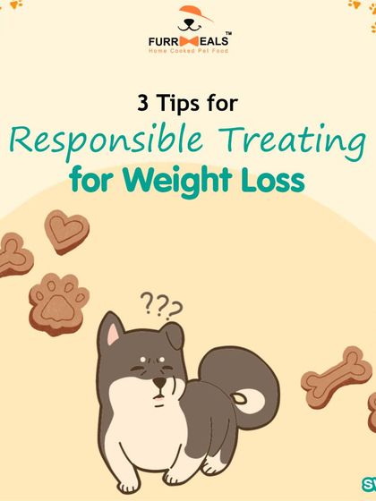 Treats can be a big part of weight gain. This guide provides three tips for responsible treating during a weight loss plan, focusing on safe, low-calorie, and functional treats while avoiding high-risk options like rawhide.