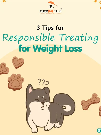 This collection of infographics and product shots provides a comprehensive guide to understanding, preventing, and managing dog obesity with my specialized diet plans and responsible treating tips.