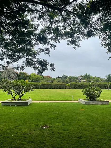 This image captures the scale of projects I manage, showcasing a vast, perfectly manicured lawn at Embassy Boulevard. My maintenance ensures that large landscapes, including jogging tracks and common areas, remain pristine and healthy.