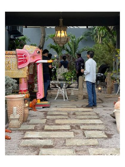 A behind-the-scenes look at the setup of the Peacock Life landscape, showing the careful placement of various artistic and decorative elements.