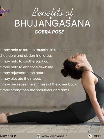 A closer look at Bhujangasana, or Cobra Pose. This gentle backbend is fantastic for stretching the chest and abdomen, strengthening the shoulders, and improving posture.