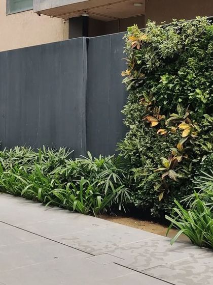 A section of a boundary wall where a vertical garden is inset into the smooth grey panels. This design breaks the monotony of a long wall, introducing pockets of nature and creating visual rhythm.