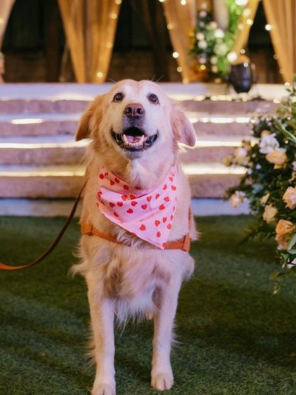 The Tales of Tradition - Milestone & Social Event Planning Immersive Guest Experiences photo 17