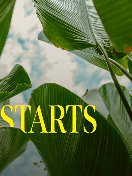 Your escape starts here, looking up through the vibrant green leaves into the sky. It’s a small detail that makes a big difference.