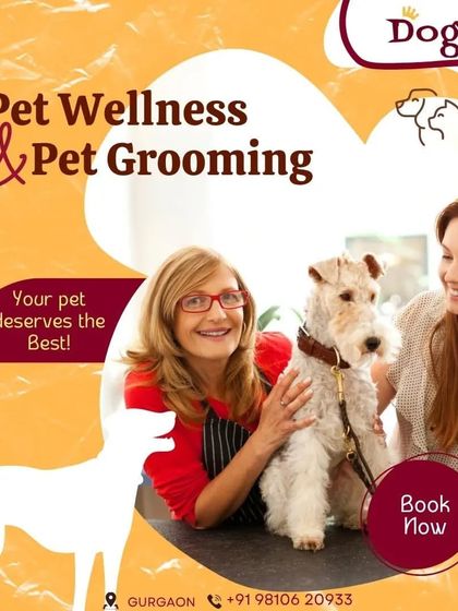 Your pet deserves the best, and that's what I provide. My pet wellness and grooming services are designed to give your furry friend the professional care and attention they need.