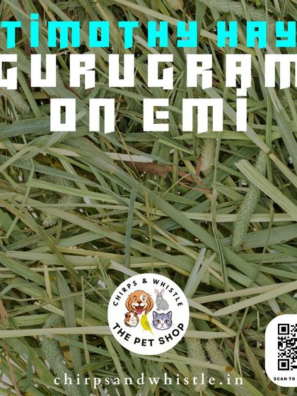 To make pet care more affordable, I offer EMI options on bulk purchases, including my high-quality Timothy hay.