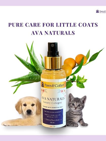 PawsnCollars - Pet Grooming & Spa Ava Naturals: Luxury Pet Cologne photo 22
