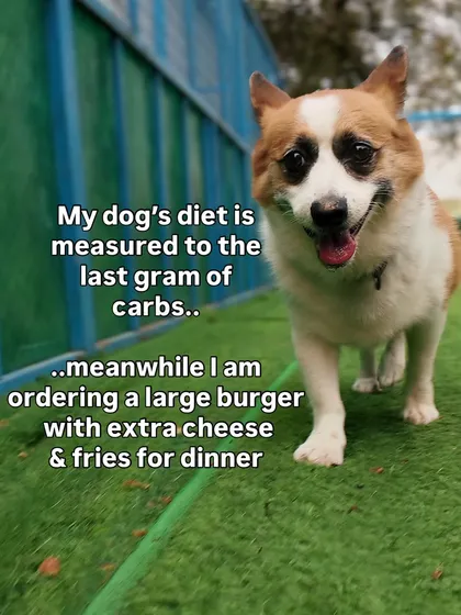 The dog parent life in a nutshell. Measuring our dog's diet to the last gram while we order a large burger with extra cheese for ourselves.
