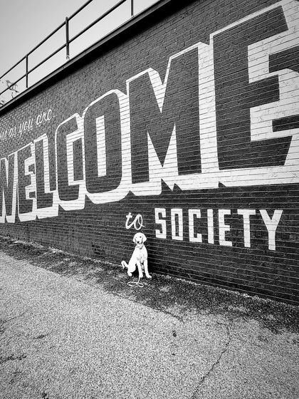 Tulsa Dog Trainer - Immersive Board & Train Programs Board & Train Graduates photo 44