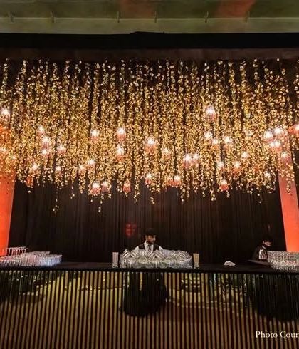 Detailed Elements: Entrances, Lounges & Bars photo 3