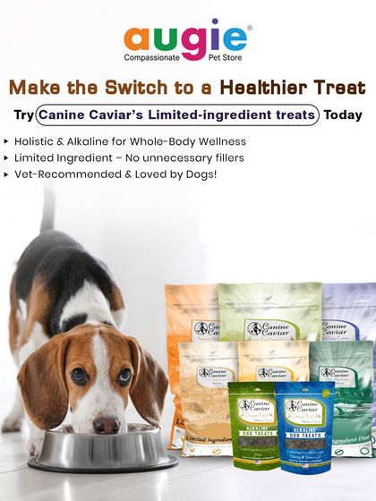 Augie Pets - Pet Supplies Fuel for Happy Hounds: Wholesome Dog Nutrition photo 14
