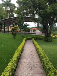 Commercial & Public Landscaping