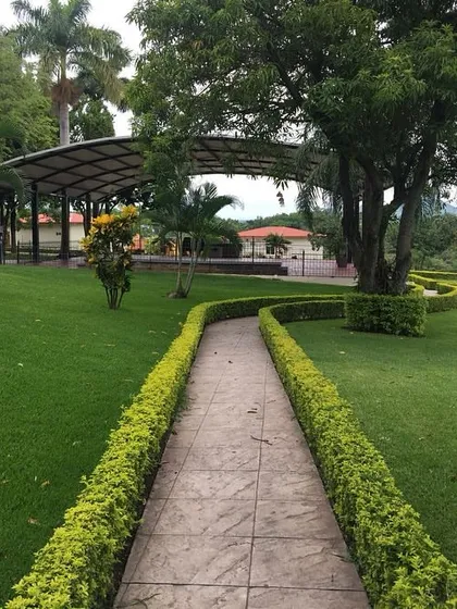 A winding stone pathway cuts through a large, manicured lawn, leading towards a covered pavilion. This kind of open, green landscape is ideal for parks, resorts, or large corporate campuses.