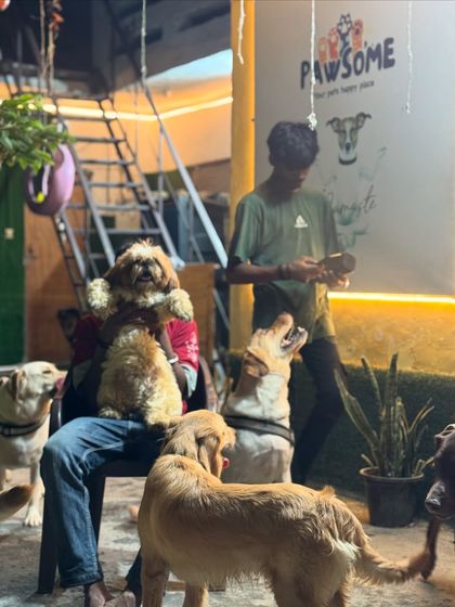 Holding one of our fluffy Shih Tzu guests while the others gather around. There's always enough love to go around.